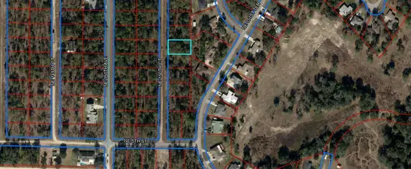 Lot 19 Ne 150th Court, Williston, FL 32696