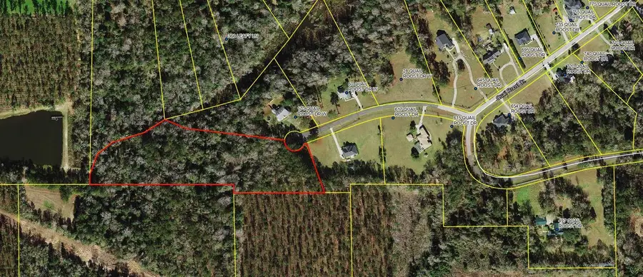 Tbd W Quail Roost Drive, Quincy, FL 32352 - Image #3