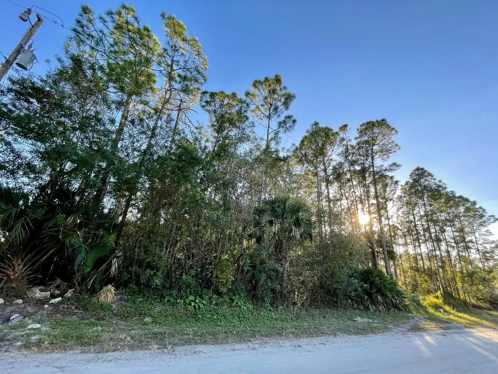 0000 70th Street N, Loxahatchee, FL 33470 - #1