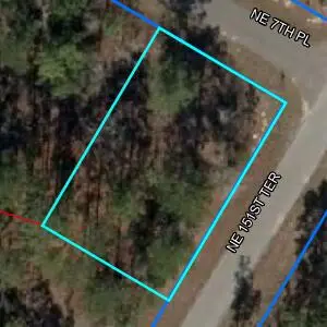 Lot1 Ne 7th Pl, Williston, FL 32696