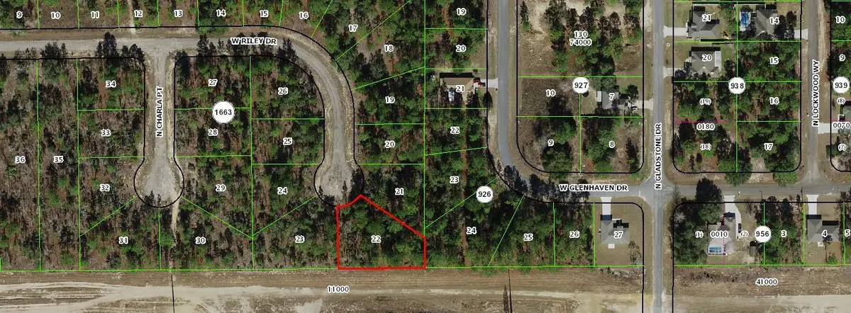 1005 W Riley Drive, Dunnellon, FL 34434 - #1