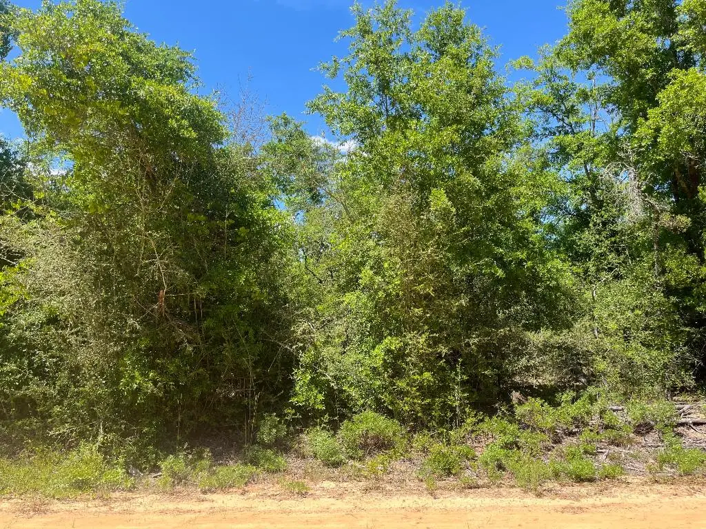 0 Hocking Street, Alford, FL 32420 - Image #1