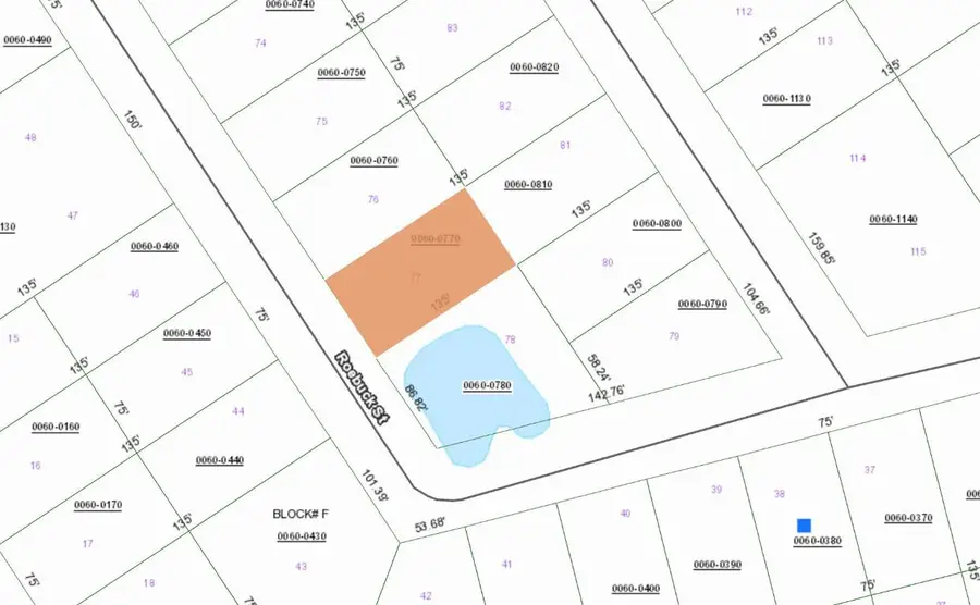 124 Roebuck Street, Georgetown, FL 32139 - Image #3