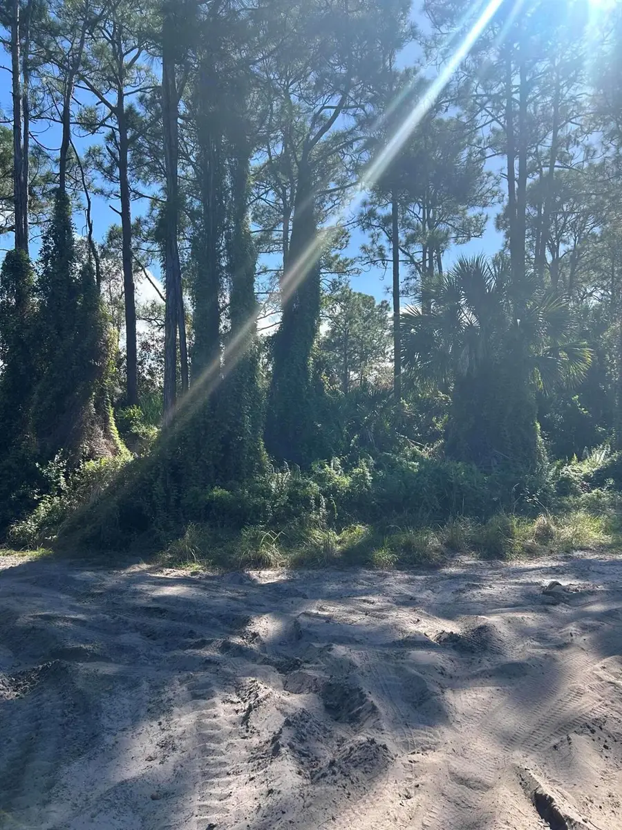 0 Slash Pine Trail, Fort Pierce, FL 34945 - Image #3