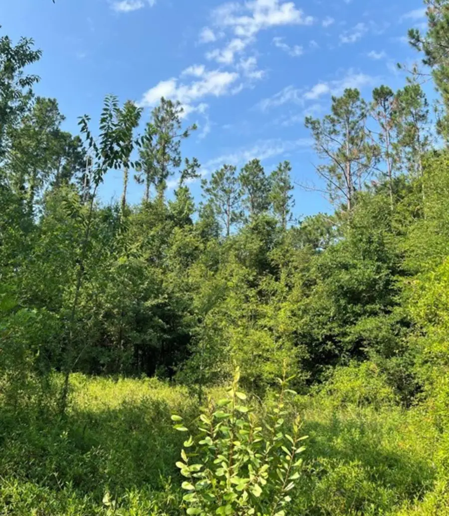 102 SW Green Acres Way, Lake City, FL 32024 - Image #2