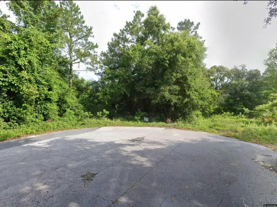 102 SW Green Acres Way, Lake City, FL 32024 - Image #3