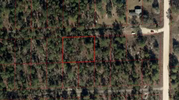 0 NE 59th Place, Bronson, FL 32621
