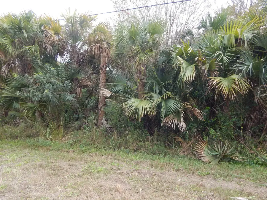 860 Ashland Street E, Lehigh Acres, FL 33974 - Image #2