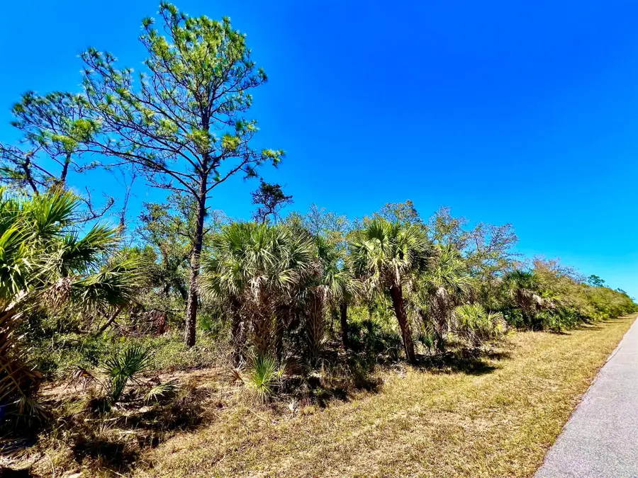 441 Juper Street, Port Charlotte, FL 33953 - Image #2