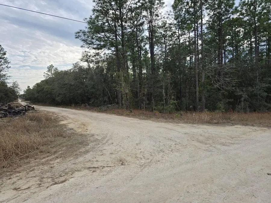 0 SW 76th Lane, Dunnellon, FL 34432 - Image #2