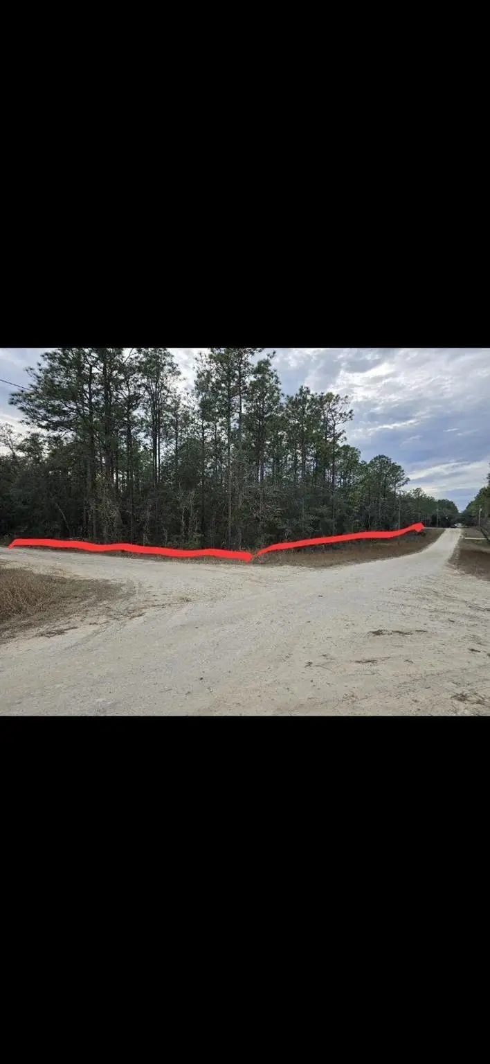 0 SW 76th Lane, Dunnellon, FL 34432 - Image #3