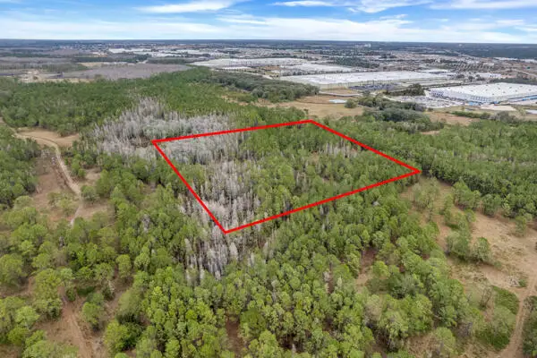 000 No Street, Polk City, FL 33868 - Image #3