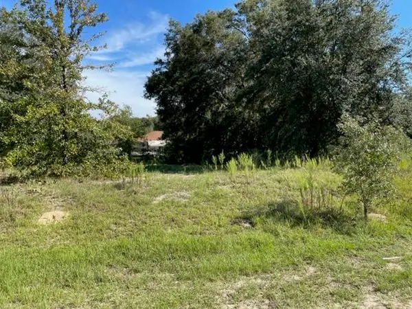 Tbd SW 104th Street, Dunnellon, FL 34432