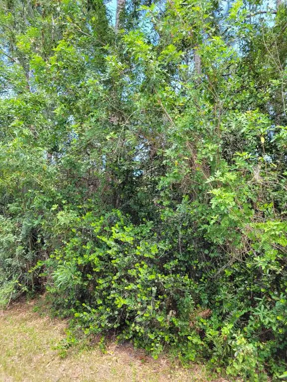 ### 133rd Trl N, Jupiter, FL 33478 - Image #3