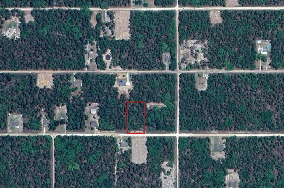 00 SW 80th Street, Dunnellon, FL 34432 - Image #1