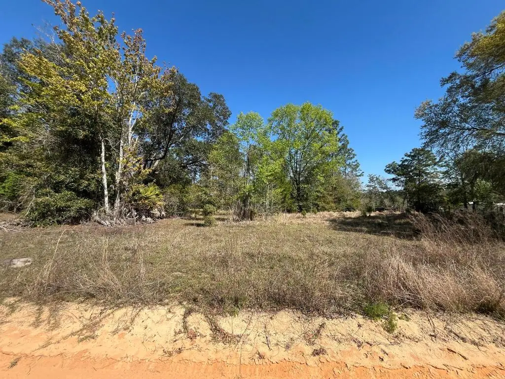 140 Hudson Trail, Interlachen, FL 32148 - #1