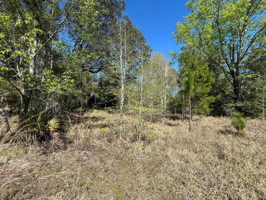 140 Hudson Trail, Interlachen, FL 32148 - #2