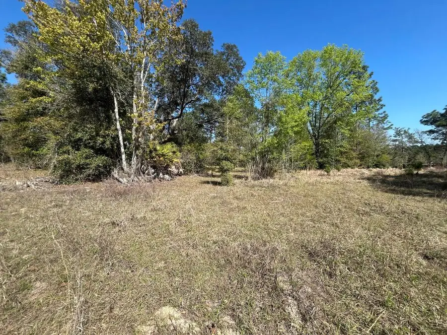 140 Hudson Trail, Interlachen, FL 32148 - #3