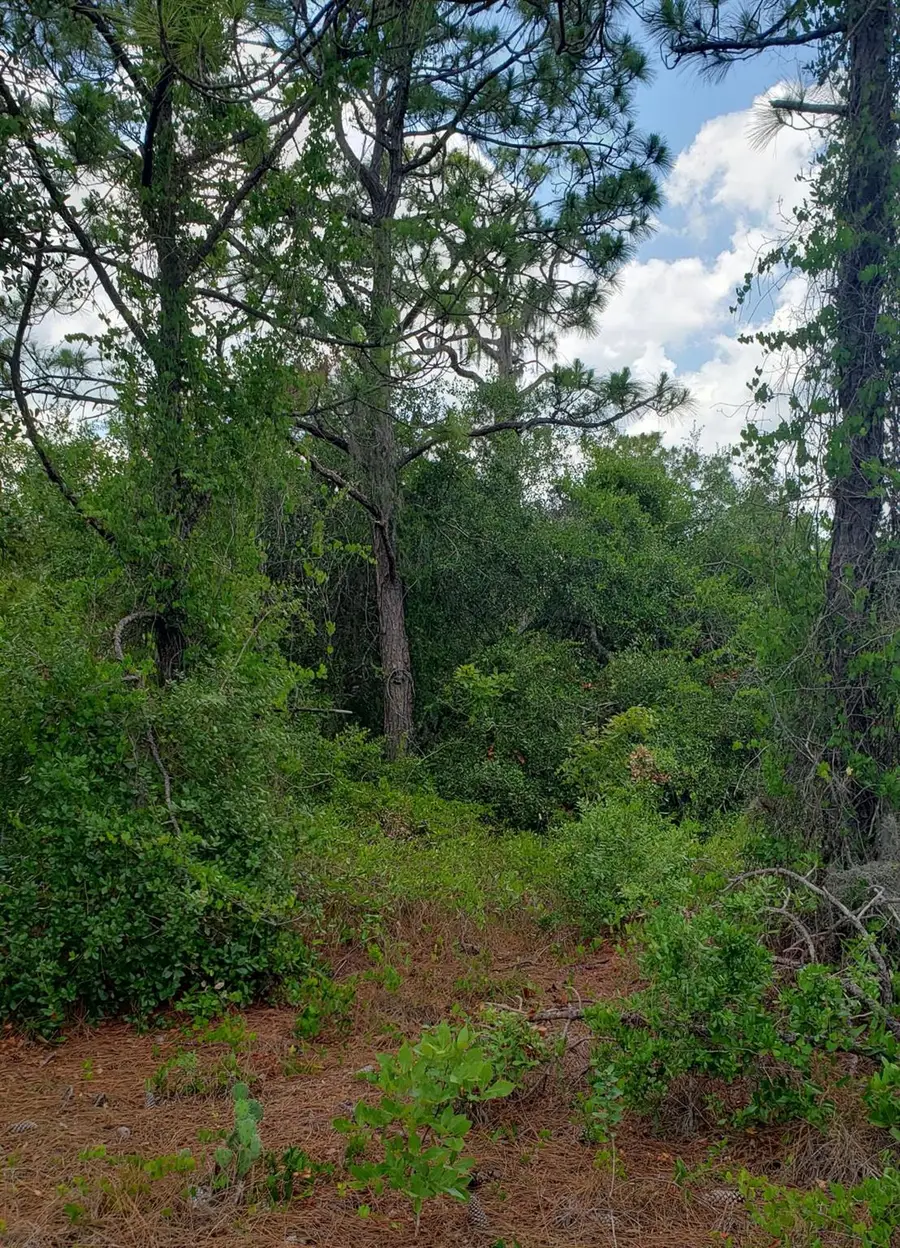 932 Island Parkway Ne, Lake Placid, FL 33852 - Image #3