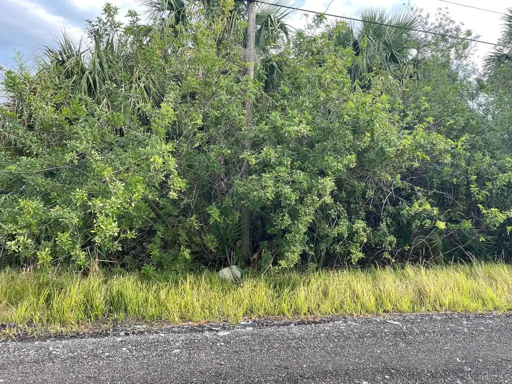 755 Wisham Street Sw, Palm Bay, FL 32908 - #1