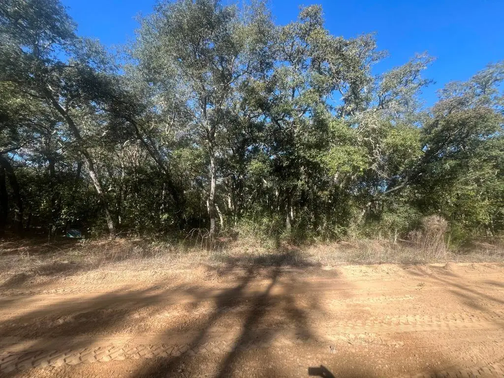 Tbd Banks, Interlachen, FL 32148 - #1