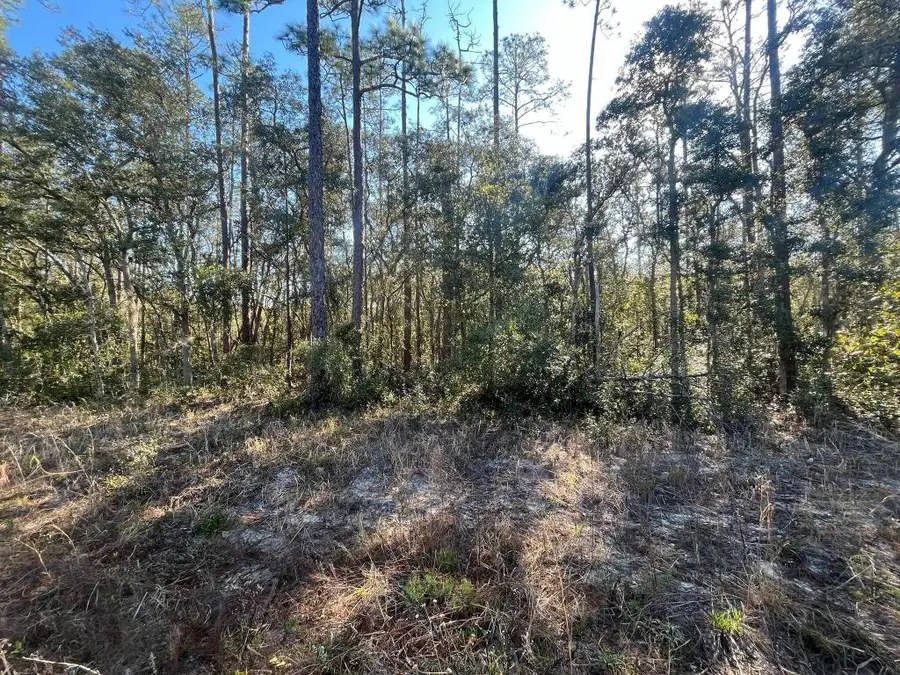 Tbd Banks, Interlachen, FL 32148 - #3