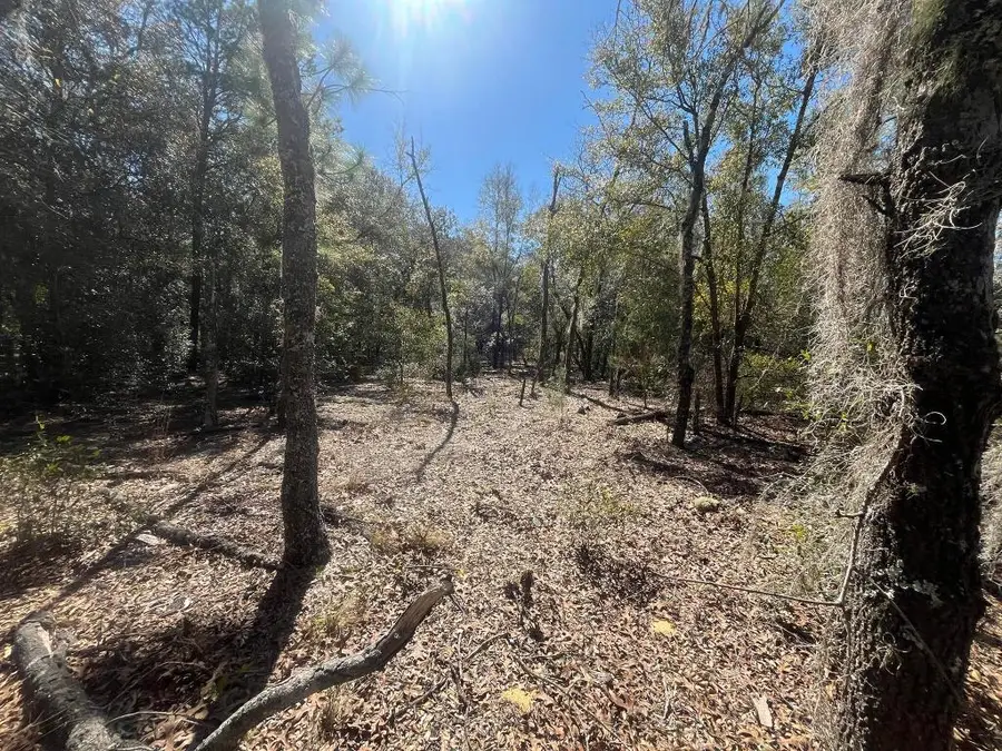 Tbd Kitty Avenue, Interlachen, FL 32148 - Image #2