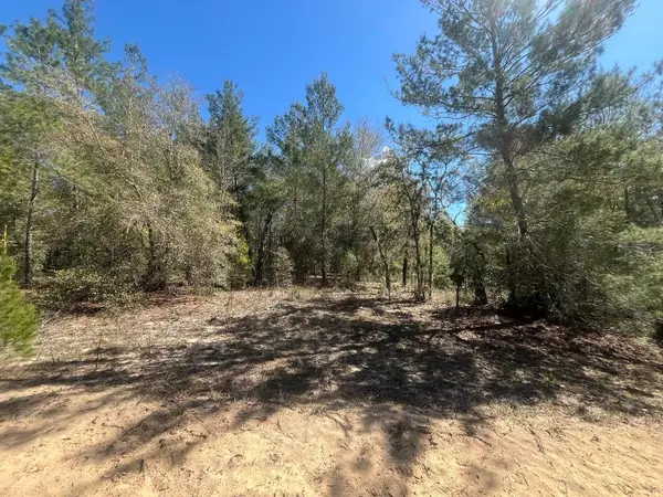 Tbd Kitty Avenue, Interlachen, FL 32148