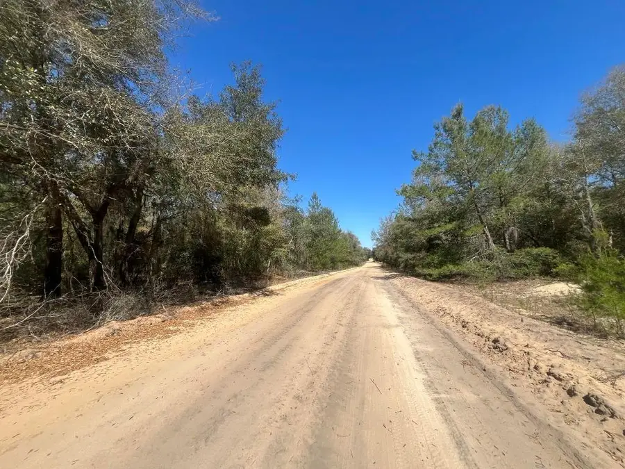 Tbd Kitty Avenue, Interlachen, FL 32148 - Image #3