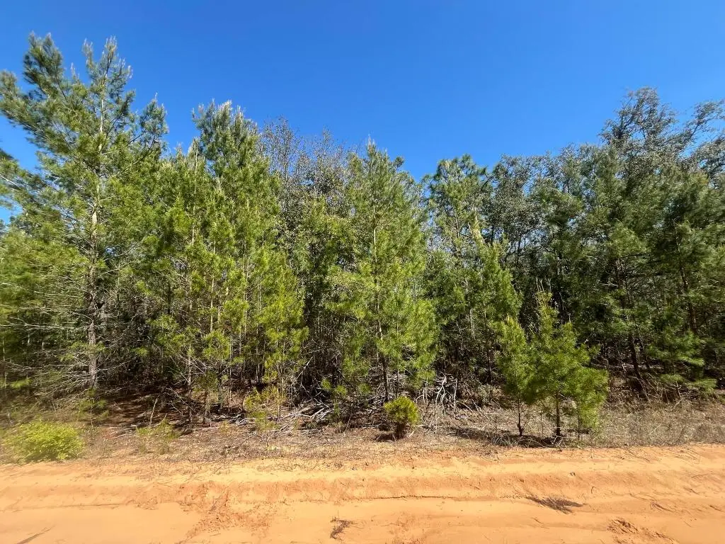 Tbd Shappell Avenue, Interlachen, FL 32148 - #1