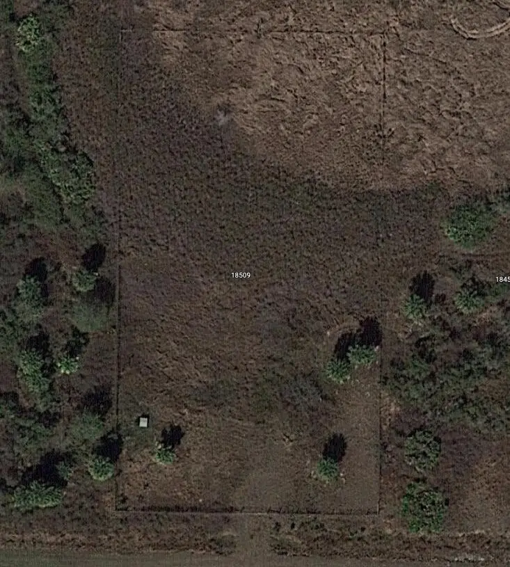 18509 NW 290th Street, Okeechobee, FL 34972 - Image #3