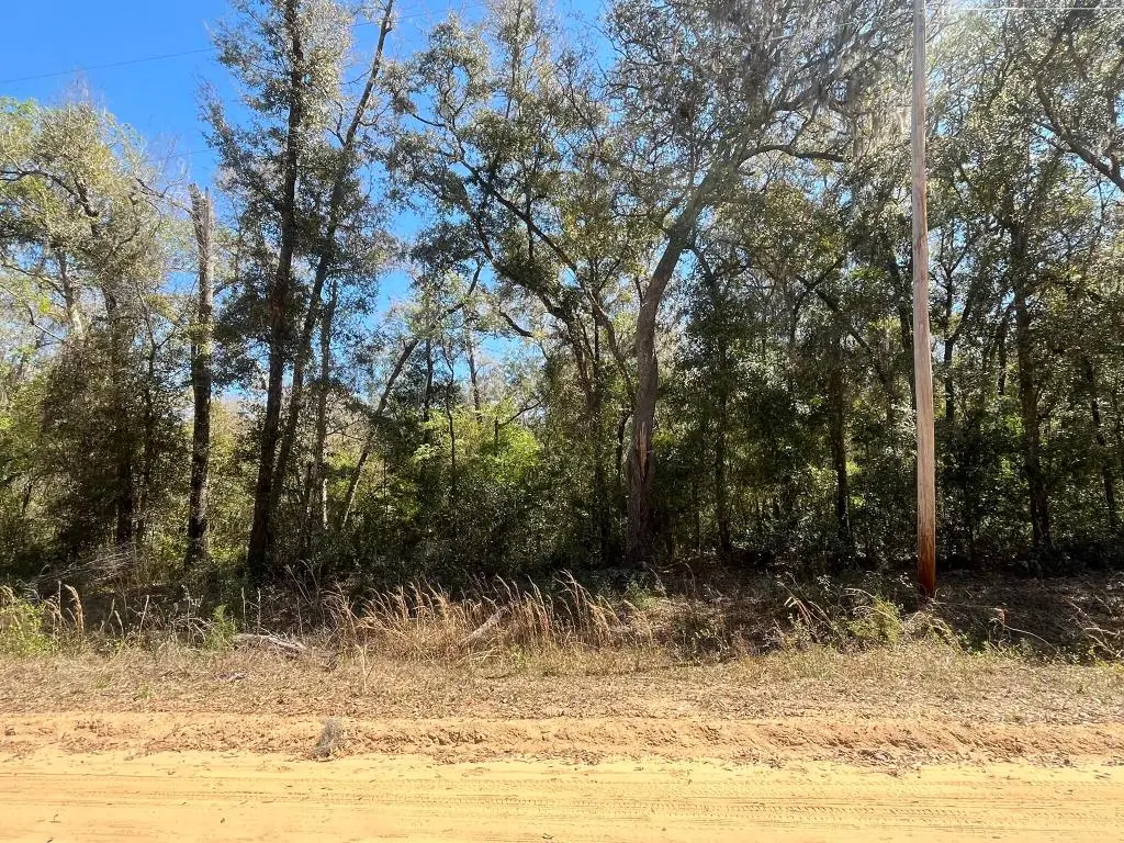 Tbd Walker Drive, Interlachen, FL 32148 - #1