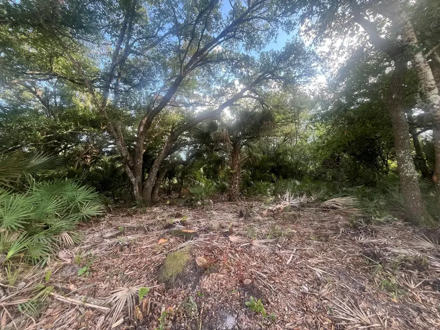 17774 NW 254th Street, Okeechobee, FL 34972 - Image #2