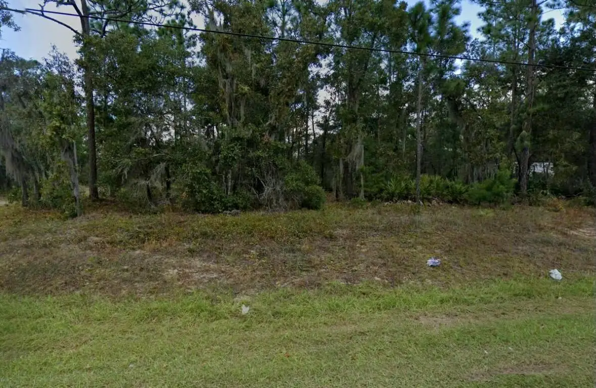 7211 Cardinal Street, Keystone Heights, FL 32656 - Image #1