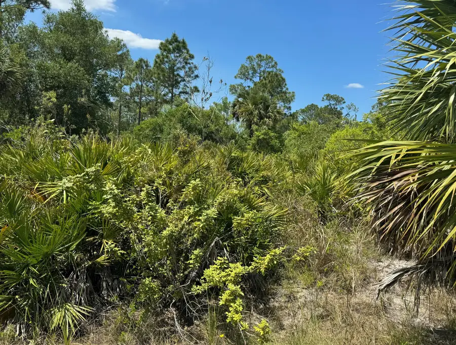 1003 W 13th Street Street, Lehigh Acres, FL 33972 - Image #2