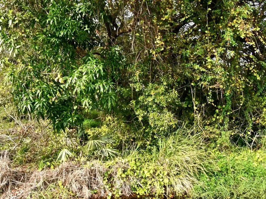 Tbd N 37th Street, Fort Pierce, FL 34947 - #1