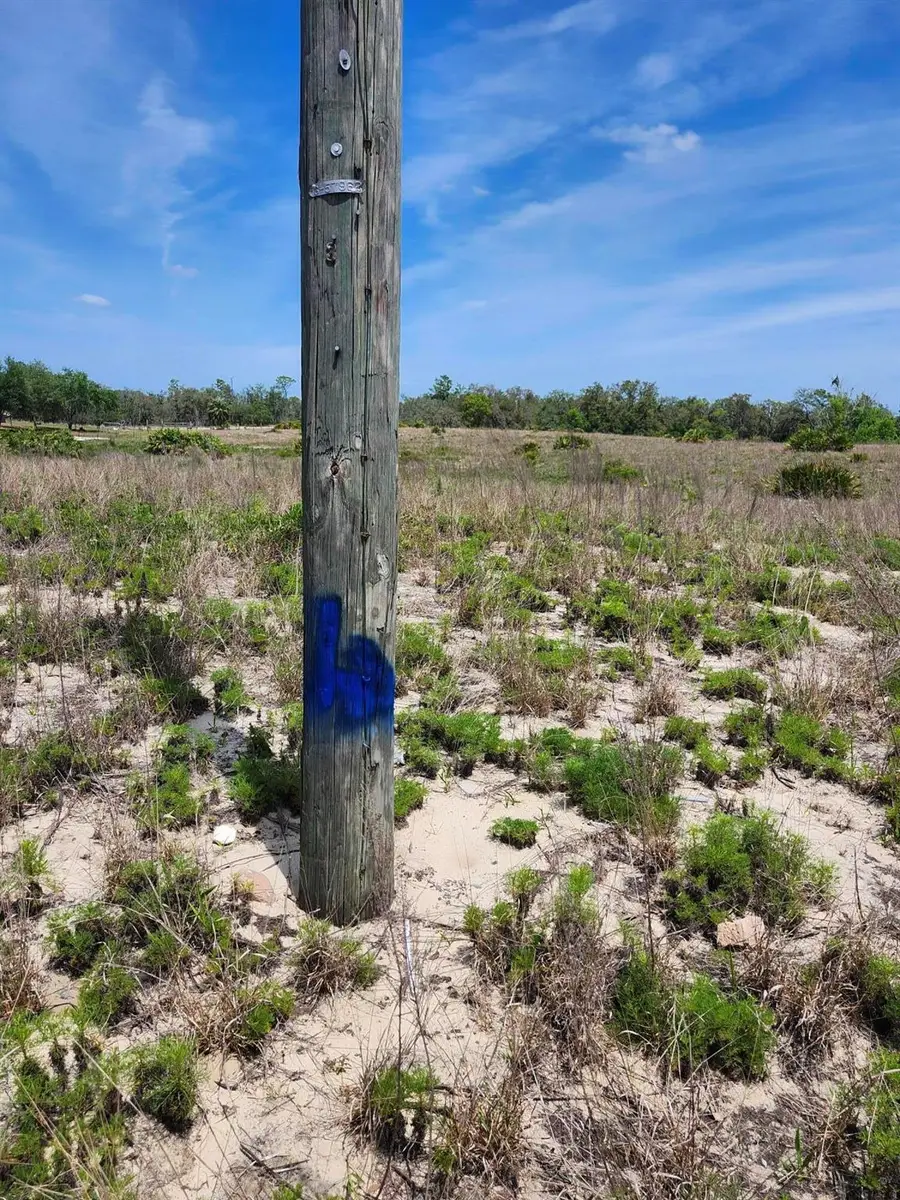 Lot 30 Fazzini Road, Lake Wales, FL 33898 - Image #3