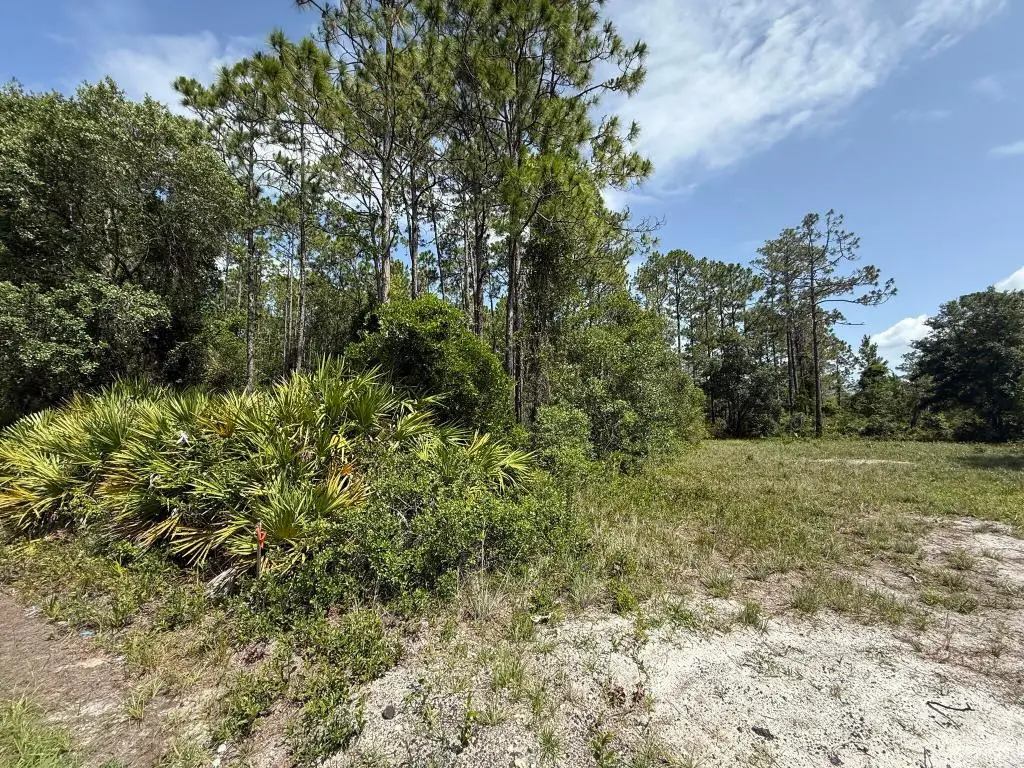174 Millican Road, Palatka, FL 32177 - #1