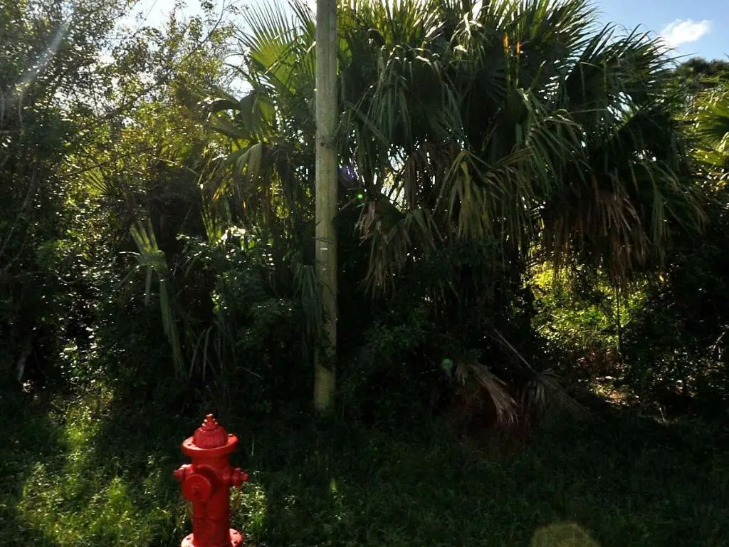 884 SW Mccoy Avenue, Port Saint Lucie, FL 34953 - #1