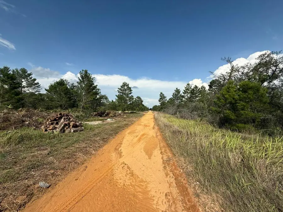 2921 W Seville Drive, Avon Park, FL 33825 - Image #3