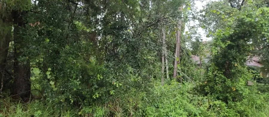 112 Ryberry Drive, Palm Coast, FL 32164 - Image #2