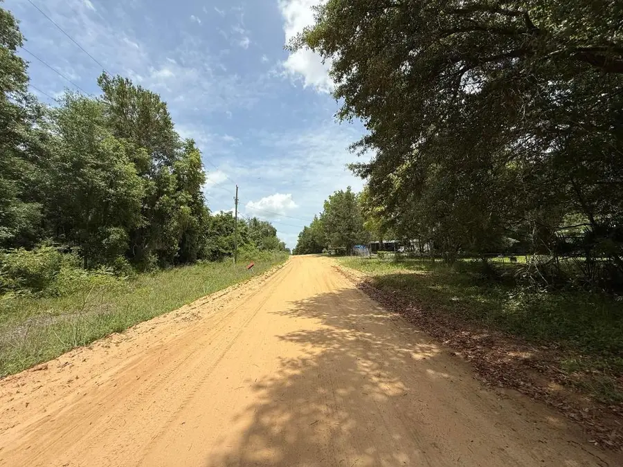 604 Kitty Avenue, Interlachen, FL 32148 - #3