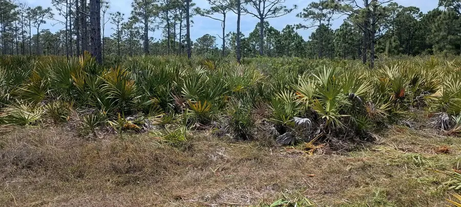 Address Withheld By Seller, Grant Valkaria, FL 32950 - Image #3