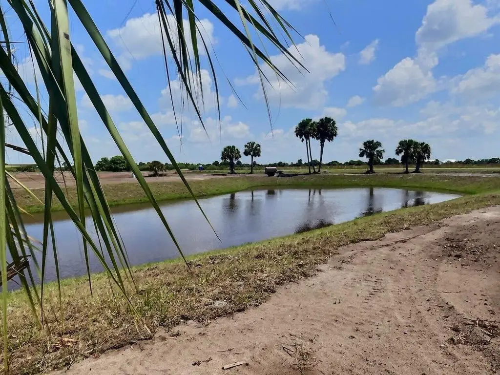 6630 SE 26th Trail, Okeechobee, FL 34974 - #1