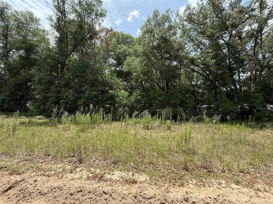 119 Smokey Avenue, Interlachen, FL 32148 - #2