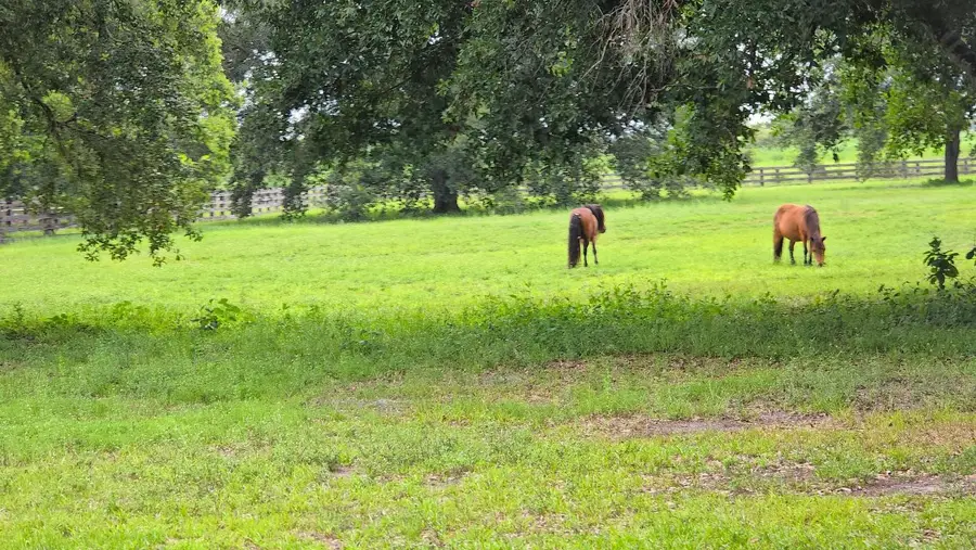 4567 State Road 710, Okeechobee, FL 34974 - #2