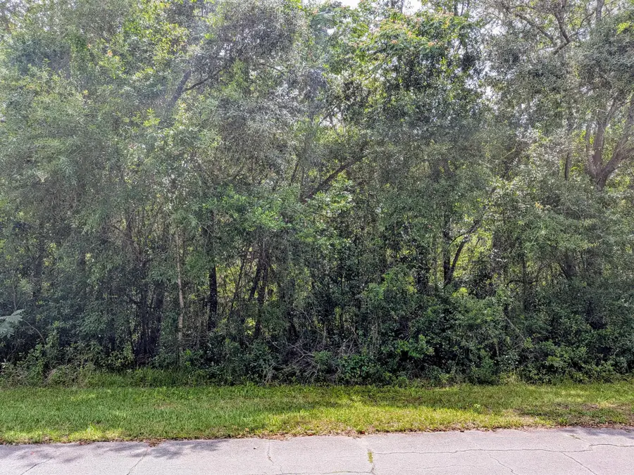 8970 N Joann Drive, Citrus Springs, FL 34434 - Image #2