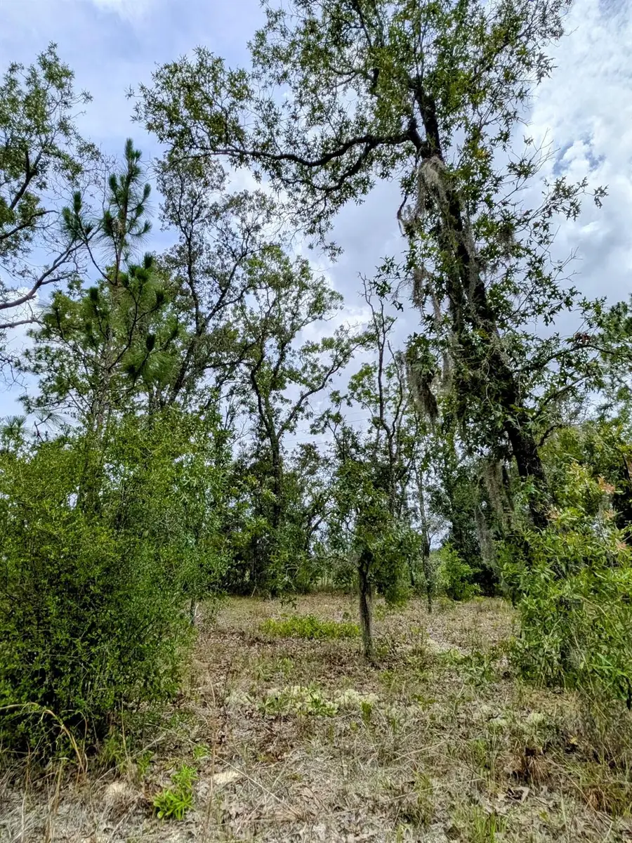 2450 W Rutland Drive, Citrus Springs, FL 34434 - Image #2