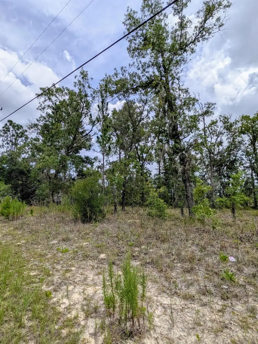 2450 W Rutland Drive, Citrus Springs, FL 34434 - Image #3