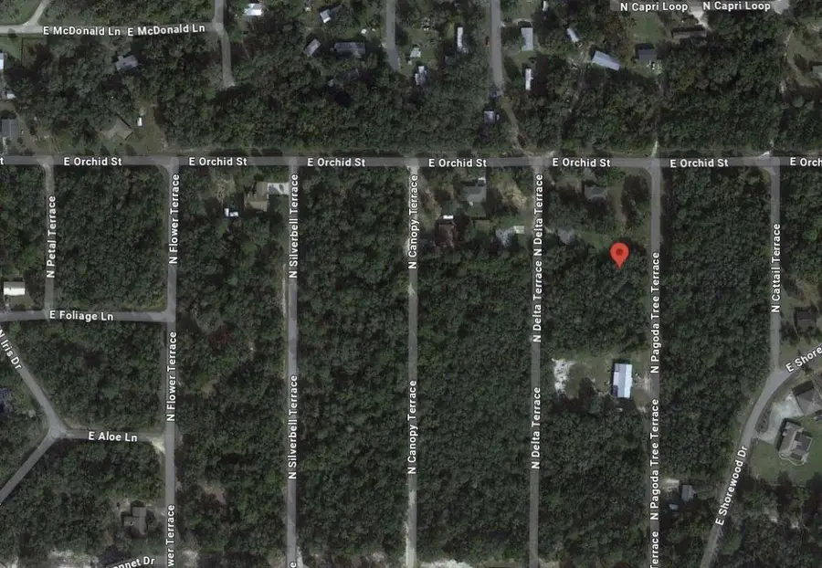 6634 N Pagoda Tree Terrace, Hernando, FL 34442 - #2